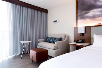 Room, 1 King Bed