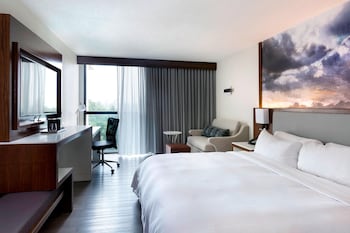 Room, 1 King Bed (Mobility/Hearing Accessible, Tub)