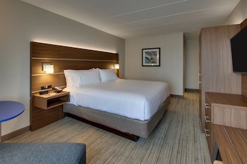 Suite, 1 King Bed with Sofa bed
