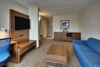 Suite, 1 King Bed with Sofa bed