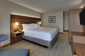 Suite, 1 King Bed with Sofa bed