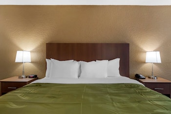 Room, 1 King Bed, Non Smoking
