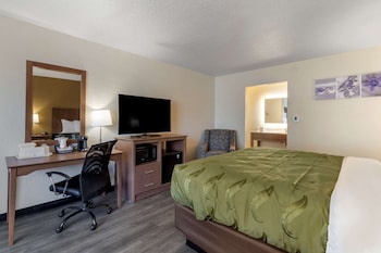 Standard Room, 1 King Bed, Non Smoking