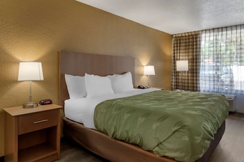 Room, 1 King Bed, Non Smoking