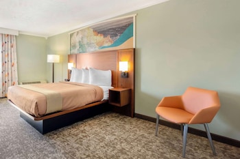Standard Room, 1 King Bed, Refrigerator & Microwave, Poolside