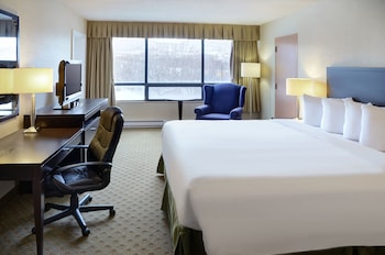 Deluxe Room, 1 King Bed