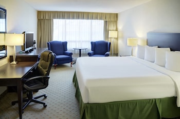 Deluxe Room, 1 King Bed