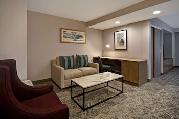 Studio Suite, 1 King Bed, Accessible, Bathtub