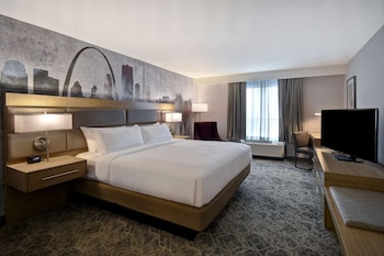 Room, 1 King Bed