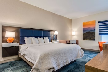 Room, 1 King Bed, Accessible