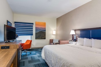 Standard Room, 1 King Bed, Non Smoking