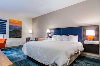 Standard Room, 1 King Bed, Non Smoking