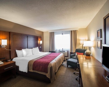 Room, 1 King Bed