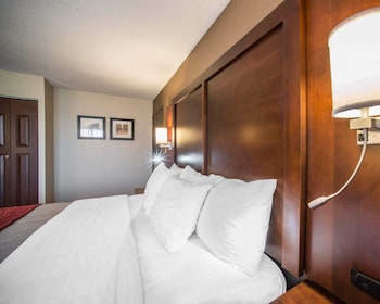 Room, 1 King Bed