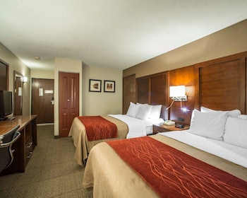 Double Room, 2 Double Beds, Non Smoking