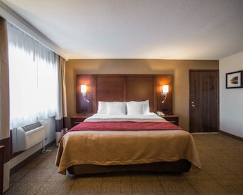 Suite, 1 King Bed with Sofa bed, Accessible, Non Smoking