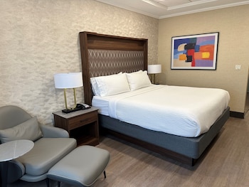 Premium Room, 1 King Bed (Top Floor)