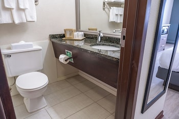 Room, 1 King Bed, Non Smoking, Refrigerator