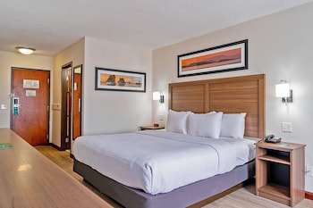 Room, 1 King Bed, Non Smoking, Refrigerator