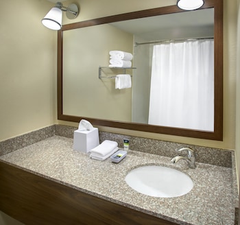 Suite, 1 Bedroom