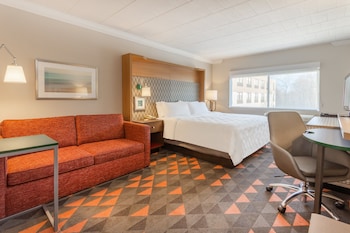 Premium Room, 1 King Bed with Sofa bed