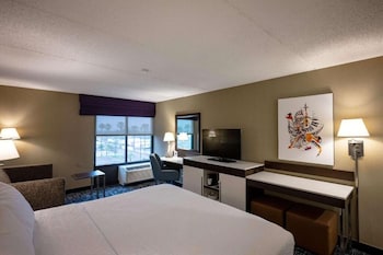 Standard Room, 1 King Bed with Sofa bed