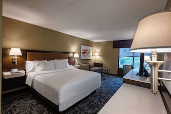 Standard Room, 1 King Bed with Sofa bed