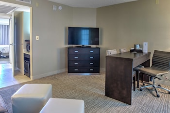 Suite, 1 King Bed with Sofa bed