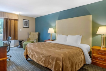 Room, 1 King Bed, Accessible, Non Smoking
