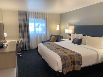 Standard Room, 1 King Bed, Non Smoking (with Single Sofabed)