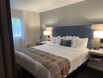 Standard Room, 1 King Bed, Non Smoking (with Single Sofabed)