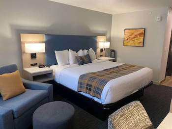 Standard Room, 1 King Bed, Non Smoking (with Single Sofabed)