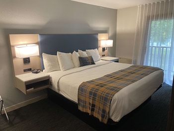 Suite, 1 King Bed, Non Smoking, Lake View