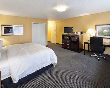 Deluxe Room, 1 King Bed with Sofa bed (2 Person Sofa Bed)