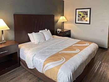 Room, 1 King Bed, Non Smoking (Accessible)