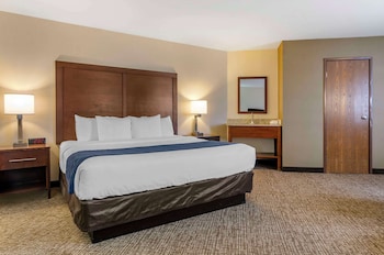 Standard Room, 1 King Bed, Non Smoking