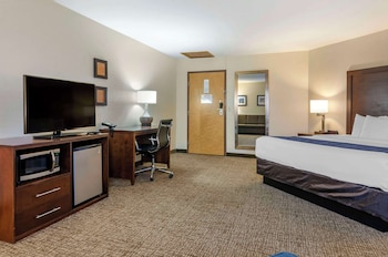 Suite, 1 King Bed with Sofa bed, Non Smoking (Larger Unit)