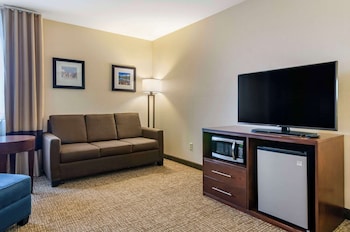 Suite, 1 King Bed with Sofa bed, Non Smoking (Larger Unit)