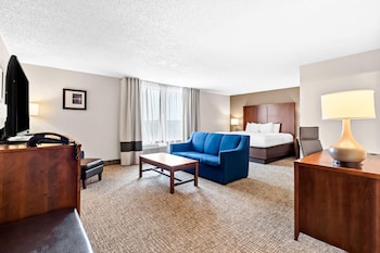 Suite, 1 King Bed with Sofa bed, Non Smoking