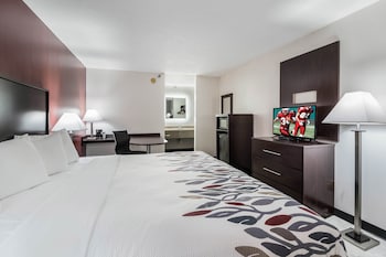 Superior Room, 1 King Bed, Non Smoking (Refrigerator & Microwave)