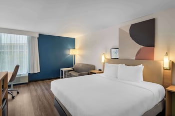 Room, 1 King Bed with Sofa bed