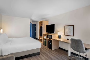 Room, 1 King Bed with Sofa bed