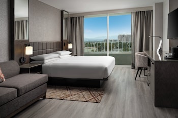 Room, 1 King Bed, Balcony (Mobility/Hearing Access, Roll-In Shwr)