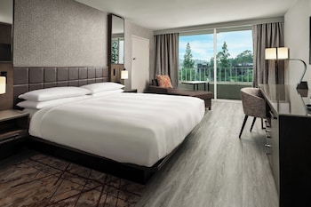 Room, 1 King Bed, Balcony (Mobility/Hearing Access, Roll-In Shwr)