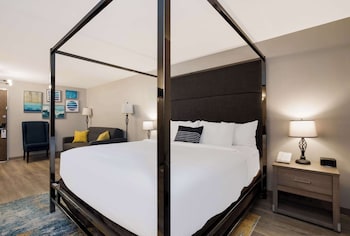 Suite, 1 King Bed, Non Smoking, Refrigerator & Microwave (Larger Room)