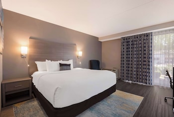 Standard Room, 1 King Bed, Non Smoking, Refrigerator & Microwave