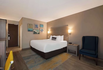 Standard Room, 1 King Bed, Non Smoking, Refrigerator & Microwave