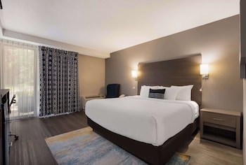 Standard Room, 1 King Bed, Patio, Pool View