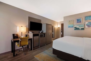Standard Room, 1 King Bed, Non Smoking, Refrigerator & Microwave