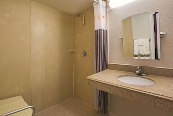 Room, 1 King Bed, Accessible, Non Smoking (Mobility/Hearing, Roll-In Shower)